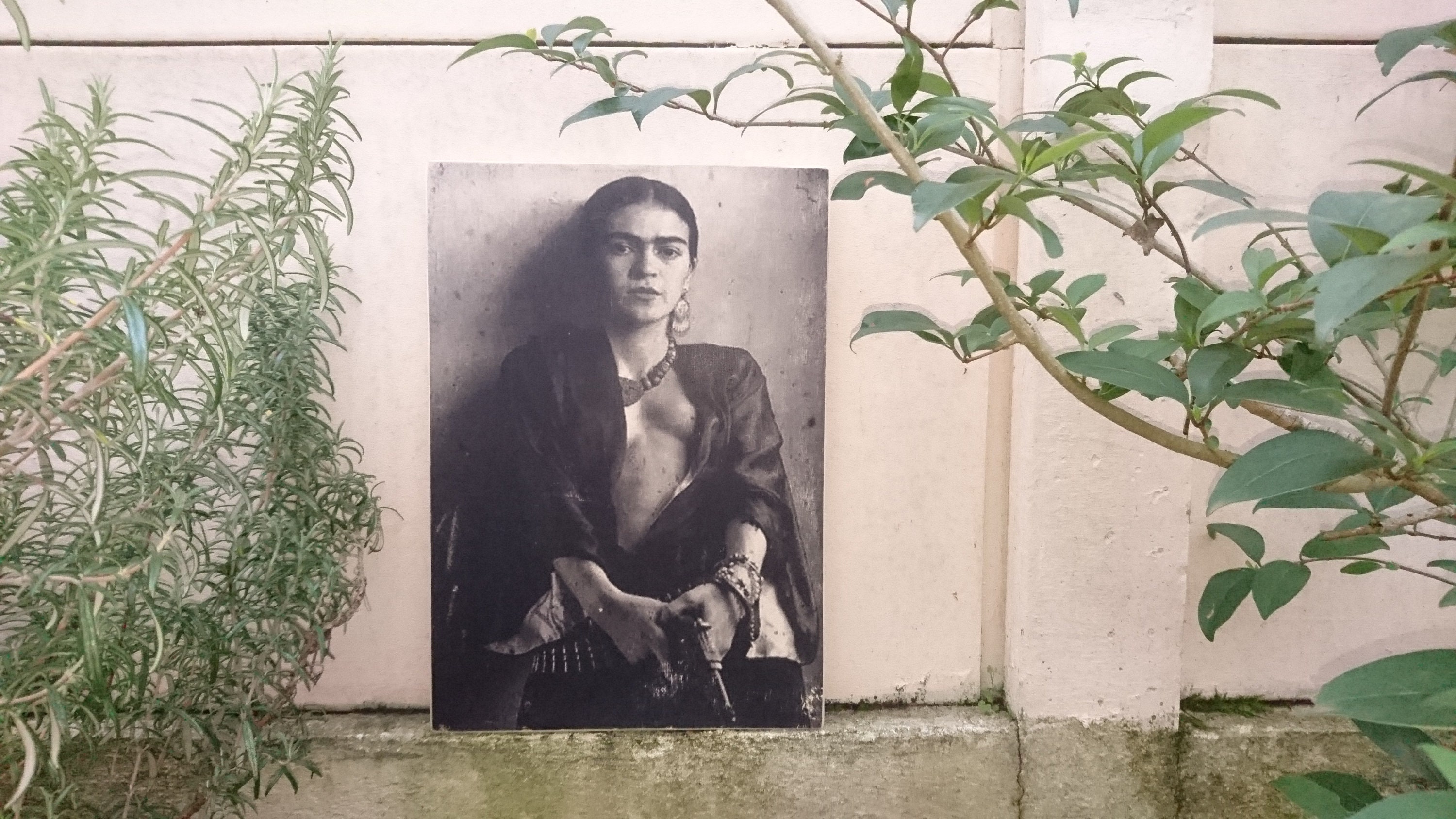 Frida Kalho. Impression sur Bois. Print in Wood. Transfert Décoration Vintage . Murale.