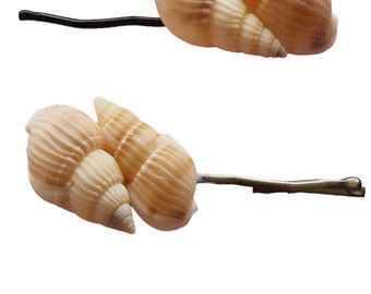 Pair of Natural shell hair grips / bobby pins