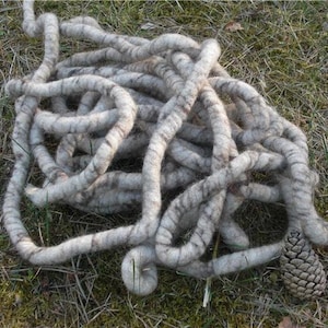 5 m (circa 100 g) di filato per tappeti/filato coordinato/cordoncini di lana realizzati con lana di razze ovine locali, naturali e colorati naturali