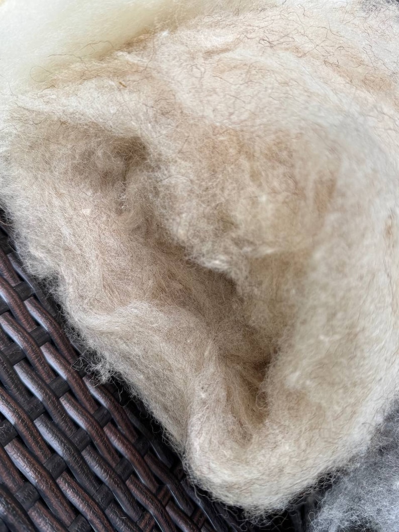 Wool Unprocessed Sample Pack - 5x100g Carded Wool Natural Colored From 5 Different Rare ...