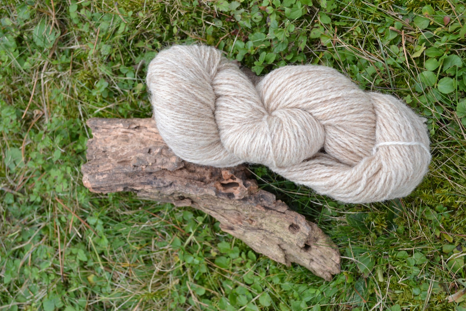 Strickwolle vom Coburger Fuchsschaf, naturbelassen