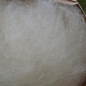 100 g de laine cardée de races ovines locales, naturelle et colorée naturellement directement du berger