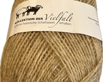100 g di lana per maglieria colore naturale 100% pura lana di pecora naturale della pecora volpe di Coburg ***NUOVO come gomitolo NUOVO***
