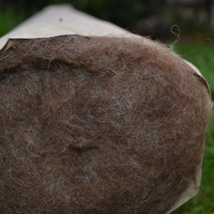 carded wool as fleece in natural brown (chocolate brown) from the Brauen Bergschaf