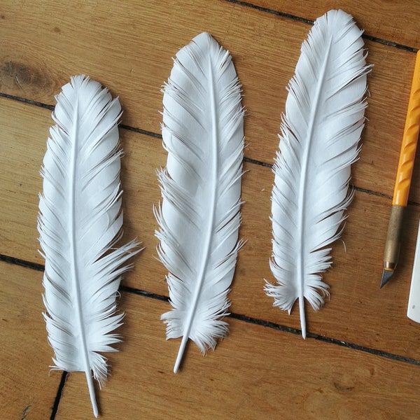 Lot of tissue paper feathers, table decoration, interior decoration, party decoration, cruelty free feathers