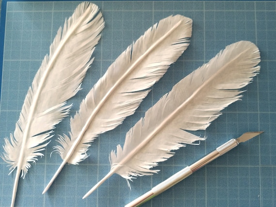 Paper feathers!!! How to make artificial feather at home-feathers from  paper 