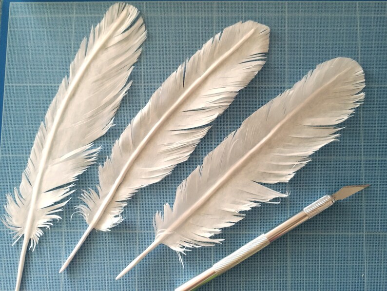 Buy Tissue Paper Feathers, Vegan Feathers, Fake Feather Online in India