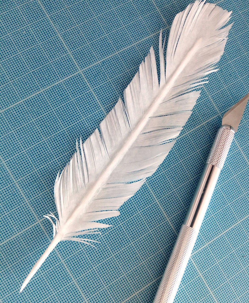 Lot 10 Vegan Feathers, Table Decoration Feathers, Cut Paper Feather