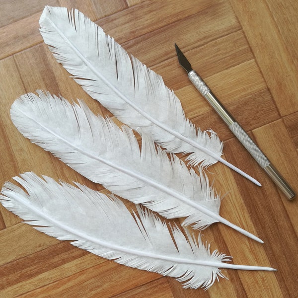 Tissue paper feathers, vegan feathers, fake feather