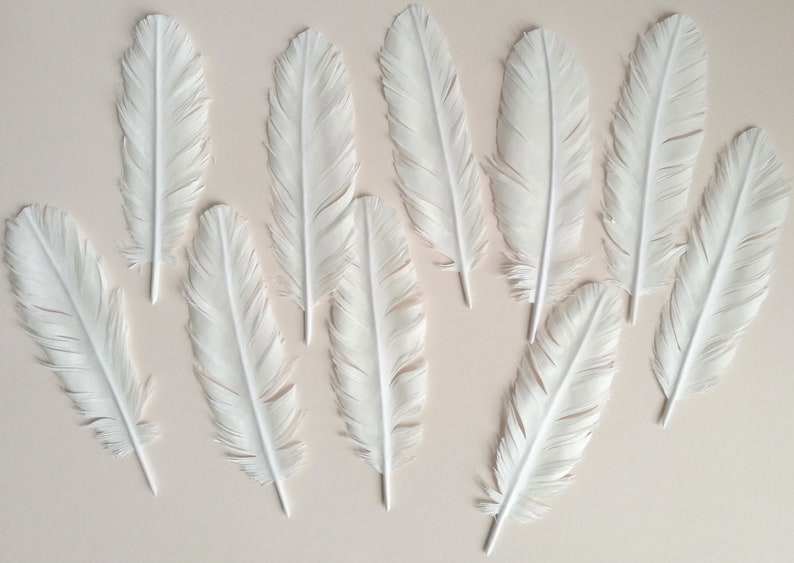 Lot 10 Vegan Feathers, Table Decoration Feathers, Cut Paper Feather