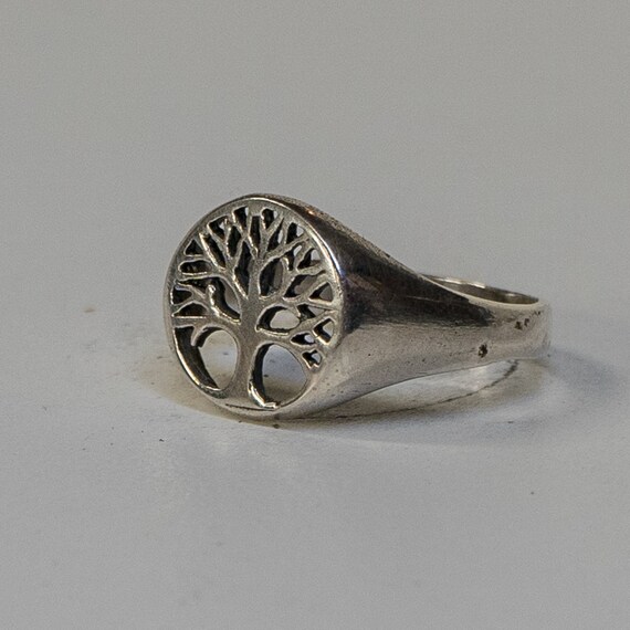 Anello Uomo in Argento Sterling 925 Anello Vichingo Rune Rotante, Vintage Spinner Anello Antistress, Norrene Vichinghi Anello Gioielli per Uomo Donna (17