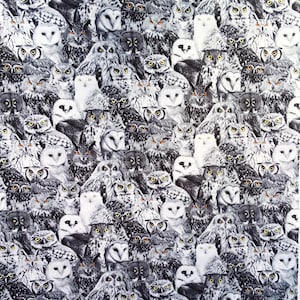 Awesome Owl Bandana  can also be worn as a Headband or for Chemo Headwear, Timeless Treasures 100% Cotton Fabric