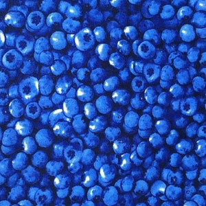 Blueberries Timeless Treasures 100% Cotton Fabric perfect for making clothing and accessories,  Blueberry Summer Fruit