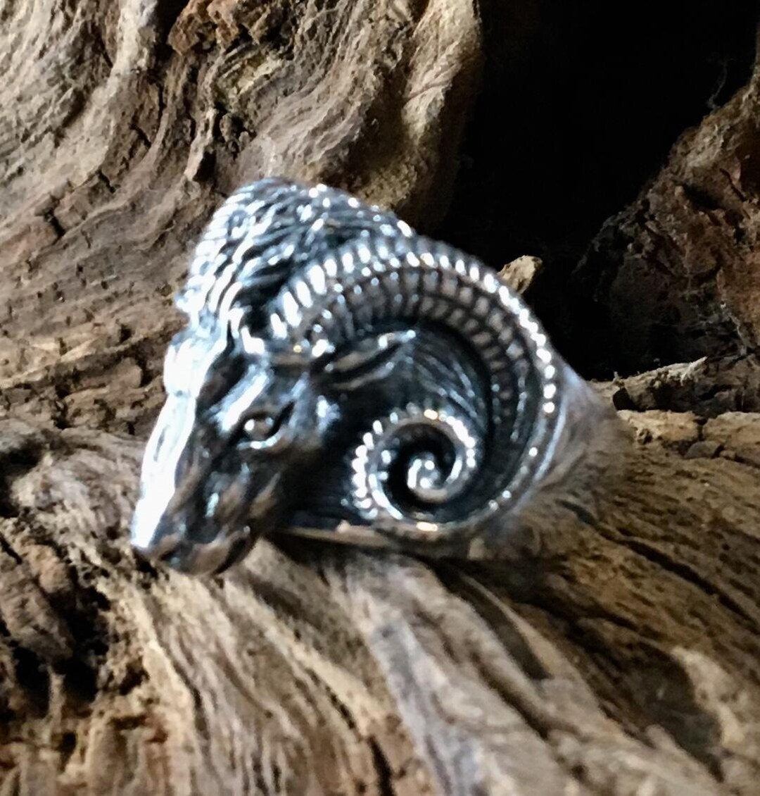 Men's Aries Zodiac Ring - 925 Sterling Silver Diamond Cut Ram Head Band Ring (Size 6.25)-185062