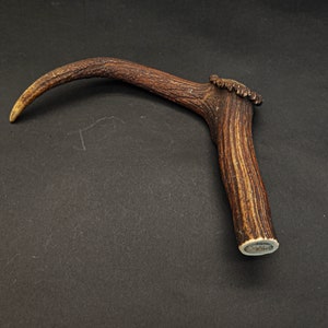 Beautiful Deer antler horn walking hikeing stick handle
