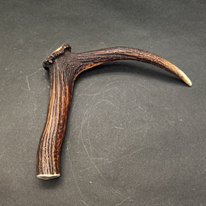 Beautiful Deer antler horn walking hikeing stick handle