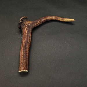 Beautiful Deer antler horn walking hikeing stick handle