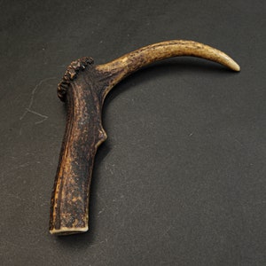 Beautiful Deer antler horn walking hikeing stick handle