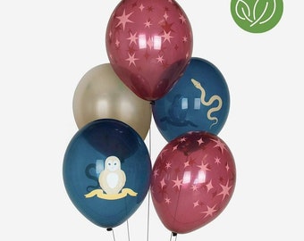 Magier Ballons (5 bedruckte Luftballons)