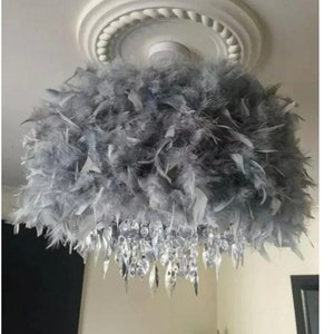 Feather Light Shade Etsy UK