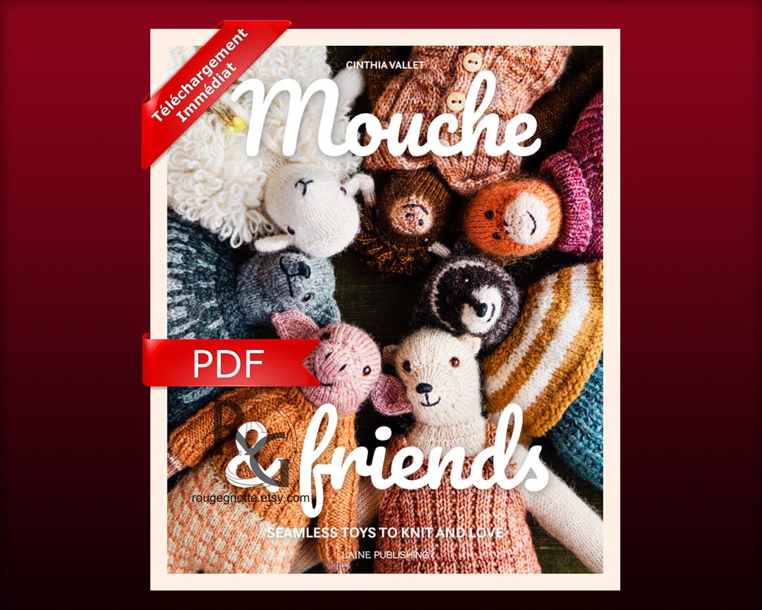 PDF - Cinthia Vallet - Mouche & Friends - 2023 - ENGLISH