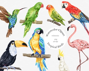 Watercolor Tropical Birds Clipart, Tropical Summer Clipart, Birds, Tropical Parrots Clipart, Macaw, Flamingo Clipart, Toucan Clipart, PNG,