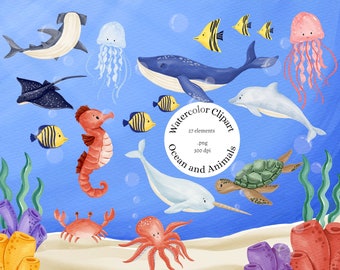 Watercolor Ocean Animals Clipart: Sea Life PNG (Digital Download)