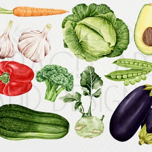 May include: A collection of fresh vegetables, including a green cabbage, a red bell pepper, a green zucchini, a green broccoli, a green kohlrabi, a purple eggplant, a green avocado, a green pea pod, a garlic bulb, and an orange carrot.