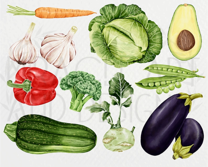 May include: A collection of fresh vegetables, including a green cabbage, a red bell pepper, a green zucchini, a green broccoli, a green kohlrabi, a purple eggplant, a green avocado, a green pea pod, a garlic bulb, and an orange carrot.