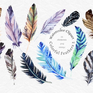 Feder Aquarell Clipart, Boho Feder-Set, Hochzeitseinladung, Boho, Tribal, Sublimation PNG, digitaler Download, kommerzielle Nutzung