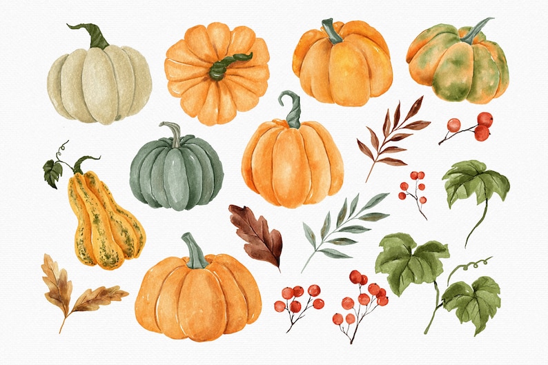 May include: Watercolor illustration of pumpkins, gourds, leaves, and berries in shades of orange, green, brown, and red. This autumnal illustration is perfect for fall decor or crafting projects.