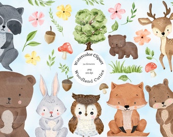 Woodland Animals Clipart, Watercolor Woodland Clipart, Forest, Nursery Decor, Baby Shower,Woodland Birthday, png, deer, bear, fox, raccoon