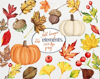 Watercolor Fall Clipart Set: Autumn Leaves, Pumpkins (PNG Digital Download)