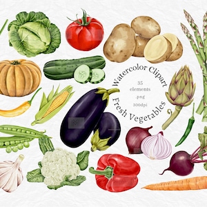 Clipart aquarelle de légumes, clipart récolte d'automne, automne PNG, avocat, brocoli, citrouille, maïs, art mural cuisine, jardin, action de grâces