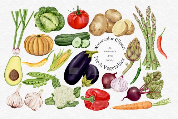 Watercolor Vegetable Clipart: Fall Harvest PNG Graphics (Digital Download)