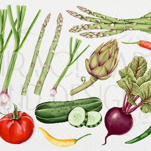 May include: A collection of fresh vegetables, including green asparagus, red beets, green cucumbers, red tomatoes, green and yellow chili peppers, green onions, and an artichoke.