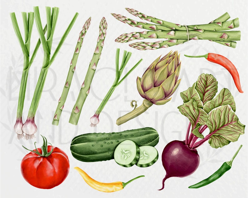 May include: A collection of fresh vegetables, including green asparagus, red beets, green cucumbers, red tomatoes, green and yellow chili peppers, green onions, and an artichoke.