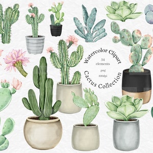 Aquarell Kaktus Clipart, Tropische Kakteen Clip Art, Wüste Sukkulente Png, Sommer Hochzeit Grafiken, kommerzielle Nutzung, digitaler Download, sofort