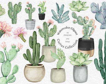 Watercolor Cactus Clipart, Tropical Cacti clip art, desert succulent png, summer wedding graphics, commercial use, digital download, instant