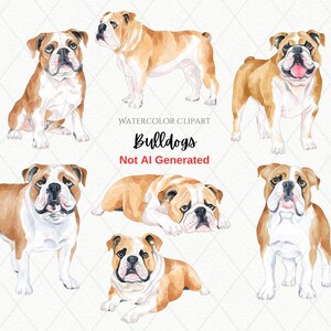 Pacote de clipart de buldogue em aquarela, 7 clipart de buldogues ingleses em aquarela PNG, ilustração de cães em aquarela, png de sublimação, uso comercial