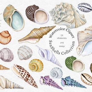 Watercolor Seashells Clipart, Nautical clip art, Summer beach, Conch, Ocean shells, boho, bohemian, instant download png, sublimation