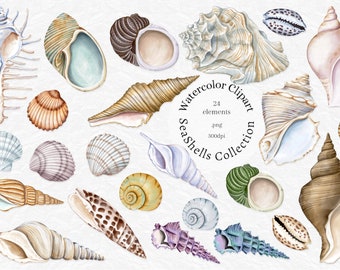 Watercolor Seashells Clipart, Nautical clip art, Summer beach, Conch, Ocean shells, boho, bohemian, instant download png, sublimation