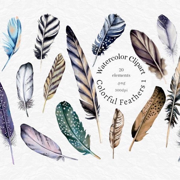 Plume aquarelle clipart, ensemble de plumes Boho, faire-part de mariage, boho, tribal, sublimation png, téléchargement numérique, utilisation commerciale