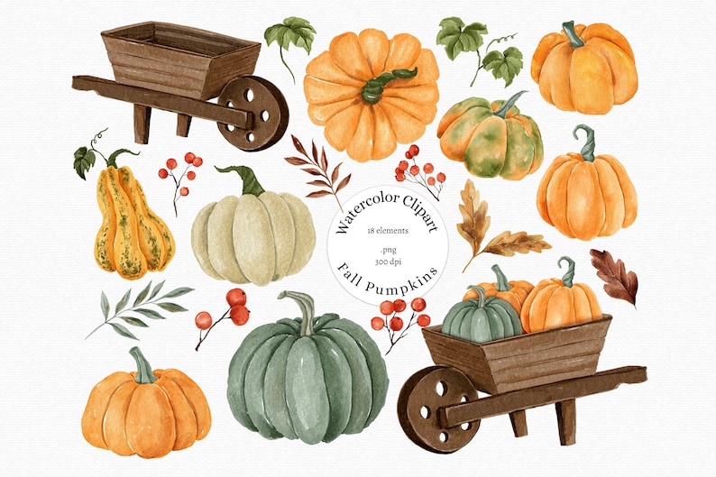 May include: Watercolor clipart of fall pumpkins in various shapes, sizes, and colors, including orange, green, and white. Some pumpkins are in a wooden wheelbarrow. The clipart includes leaves and berries.
