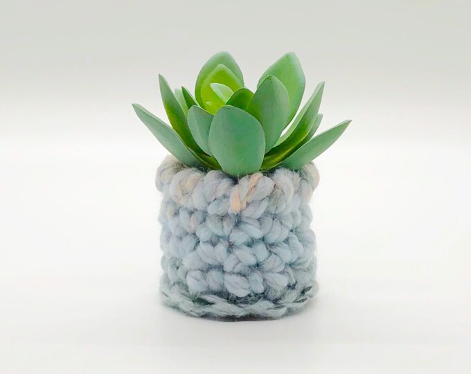 Rustic Decor Artificial Succulent or Indoor Plants Home