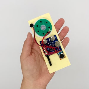 DIY Schallplatten-Eigenes Audiomodul - 30 Sekunden