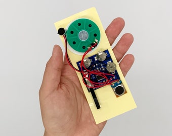 DIY Record-Your-Own Audio Module  - 30 Seconds