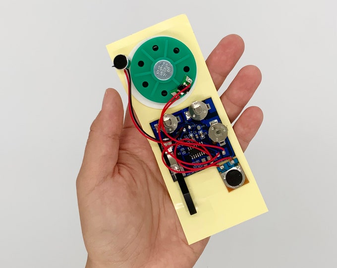DIY Record-Your-Own Audio Module  - 30 Seconds
