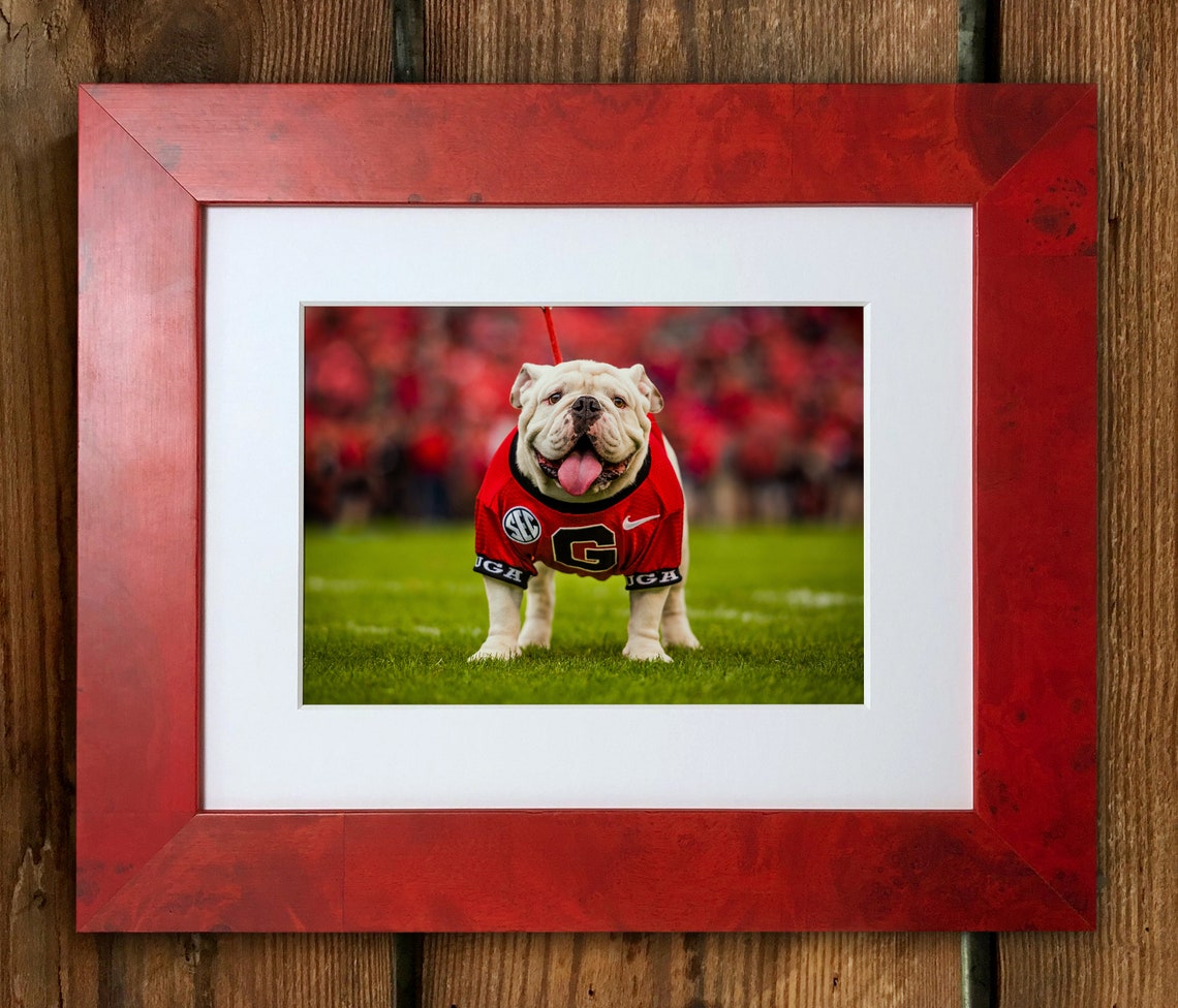 UGA Bulldogs Uga X Mascot Framed Photo Picture Print Etsy
