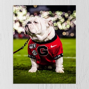 georgia bulldogs custom name and number red college football home game  jersey - Owl Fashion Shop